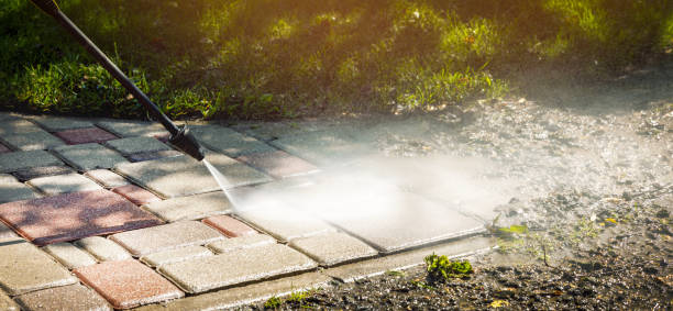 Best Roof Washing  in Montpelier, VT